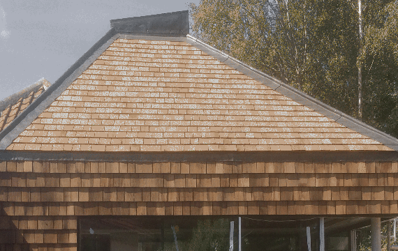 ElC oak single roofing